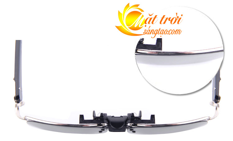 Mắt kính phân cực BERTHA 11