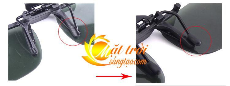 Mắt kính phân cực BERTHA 13