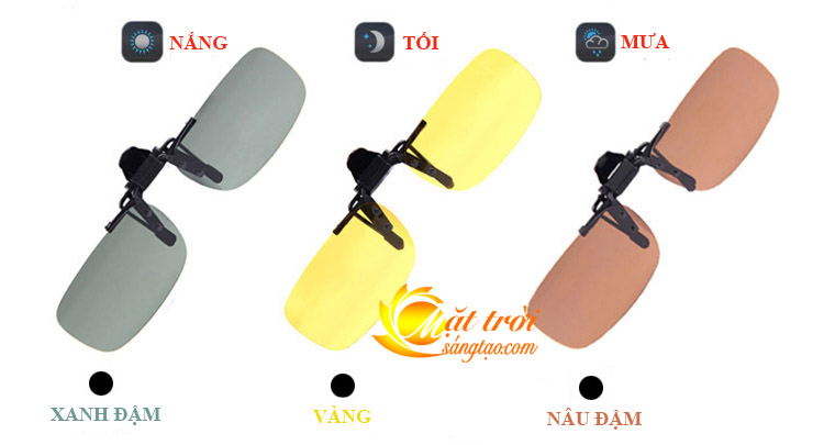 Mắt kính phân cực BERTHA 14