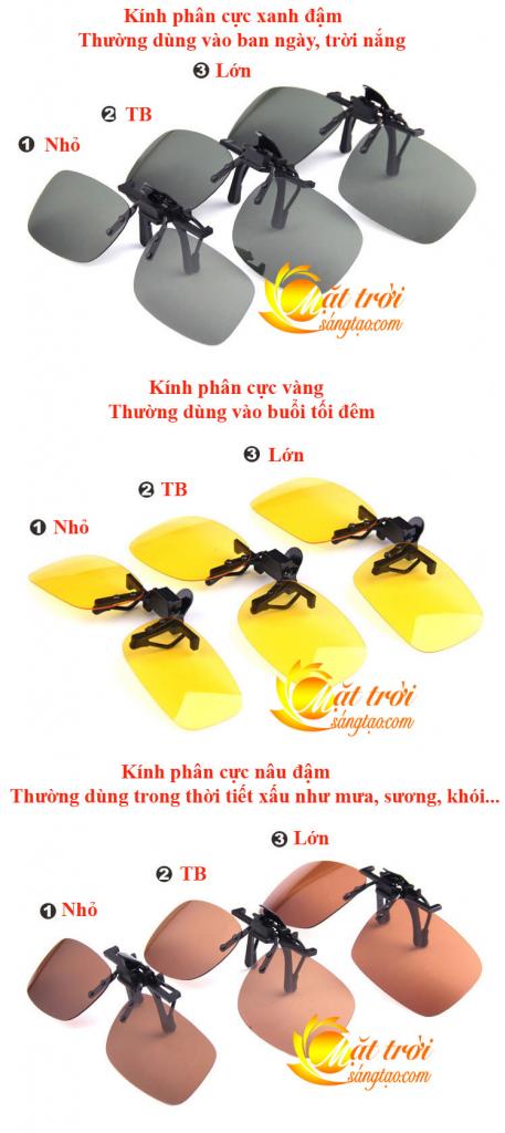 Mắt kính phân cực BERTHA 15