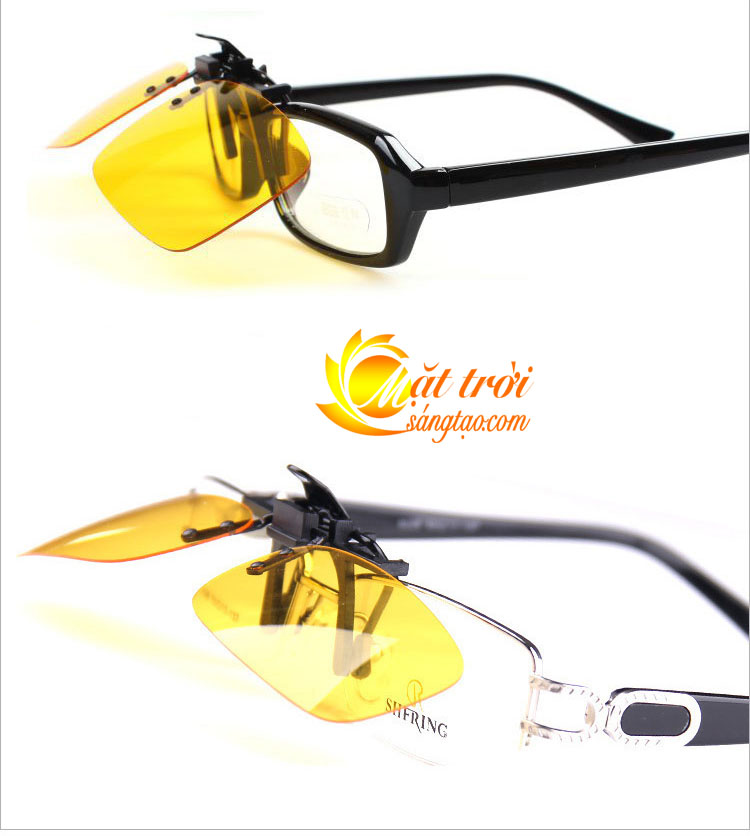 Mắt kính phân cực BERTHA 7