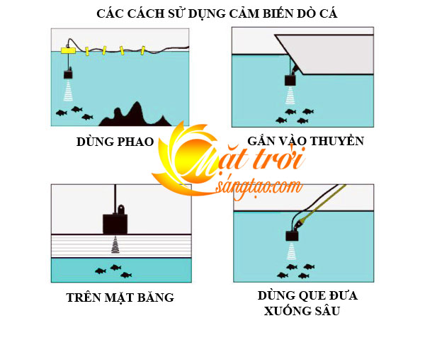 Máy dò tìm cá sóng âm Máy dò tìm cá sóng âm