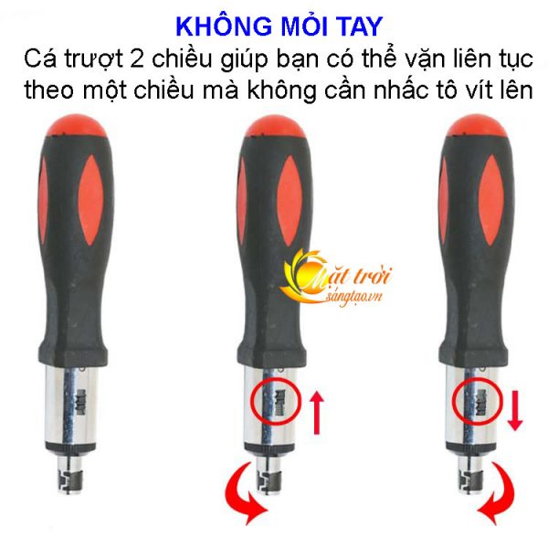 bo-to-vit-10-dau-kem-thanh-chuyen-huong-to-vit_3