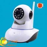 IP camera bao dong_1